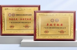 宏山激光參與產(chǎn)業(yè)關(guān)鍵對話，獲廣東激光行業(yè)雙項認(rèn)可